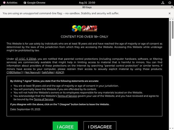 80 Gays Site Rip 2018