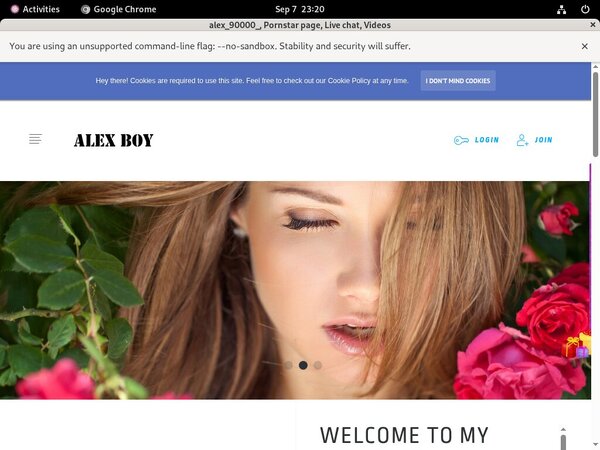 Alex_90000_ Site Passwords