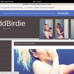 BaddBirdie Discount Passes