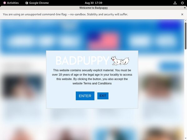 Badpuppy.com Account Premium