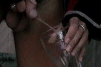 Boys-pissing.com With Directpay s2