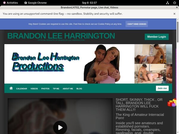 Brandonlh.com Home Page
