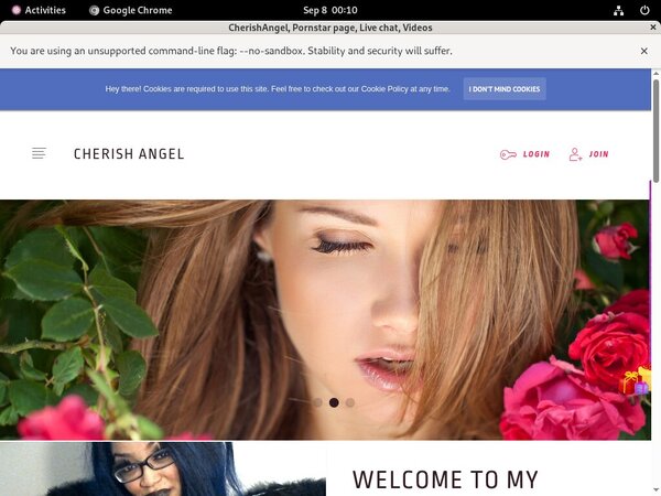 CherishAngel Porn Discounts