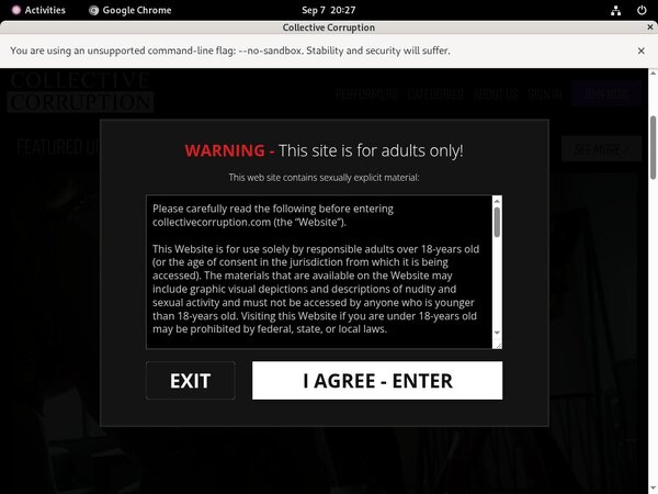 Collective Corruption Premium Discount