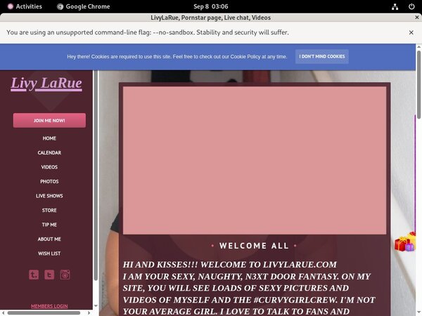 Com Modelcentro Livylarue Login Account