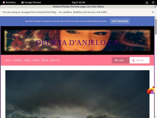 Delicia D'Anjelo Discreet Billing