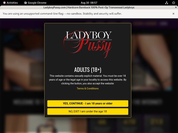 Discount Ladyboy Pussy Coupon