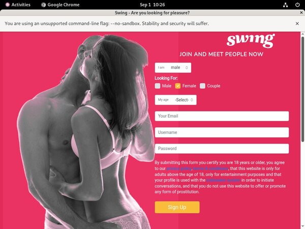 Discounted Swing.net
