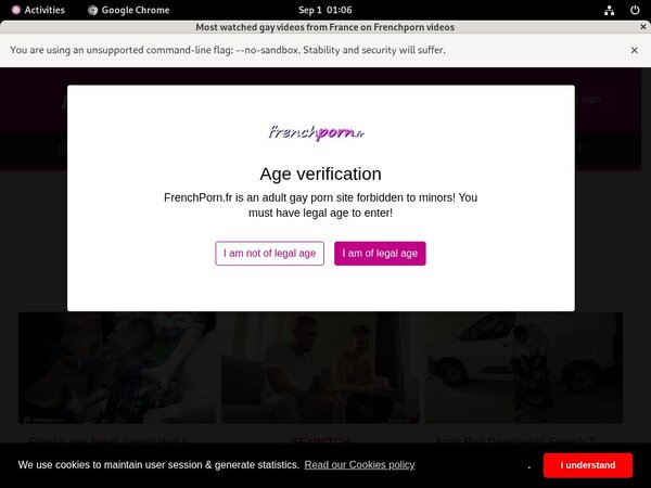 Frenchporn Idealgasm Deal