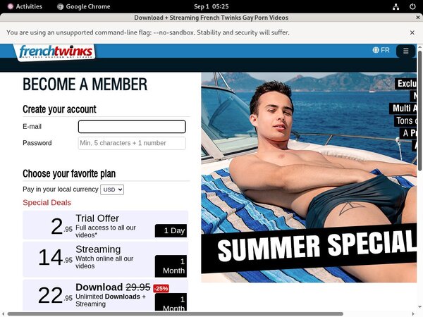 French-twinks.com Picture