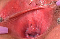 Gape My Pussy Access s2
