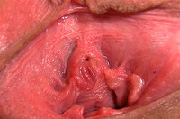 Gape My Pussy Discounted Offer s2