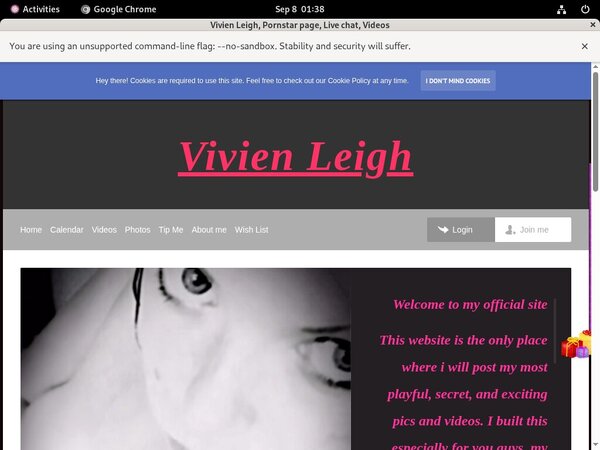 Get Free Vivienleighandme.modelcentro.com Account