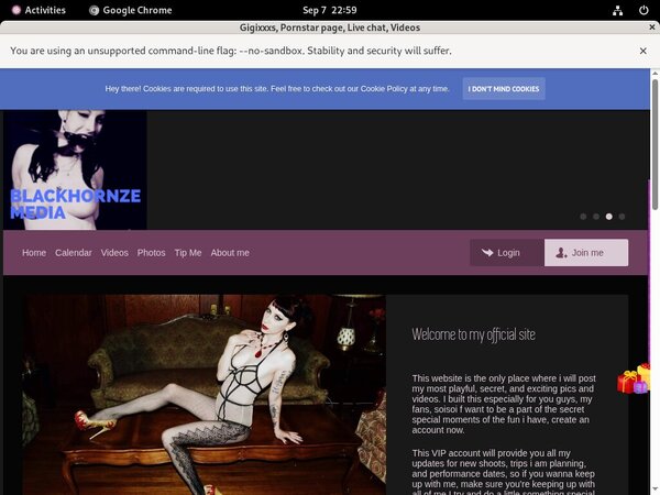 Gigixxxs.modelcentro.com Free Member