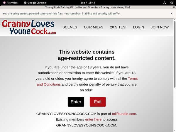 Grannylovesyoungcock.com Porn Discount
