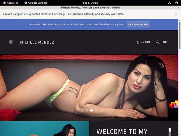 How To Get Into Michelemendez.modelcentro.com Free
