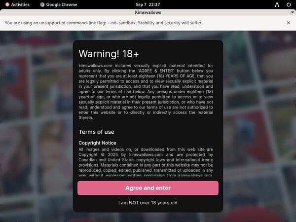 Kimswallows Paysafecard