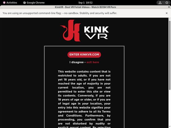 Kink VR Free Password