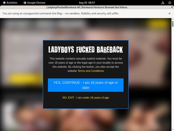 Ladyboysfuckedbareback.com Without Paying