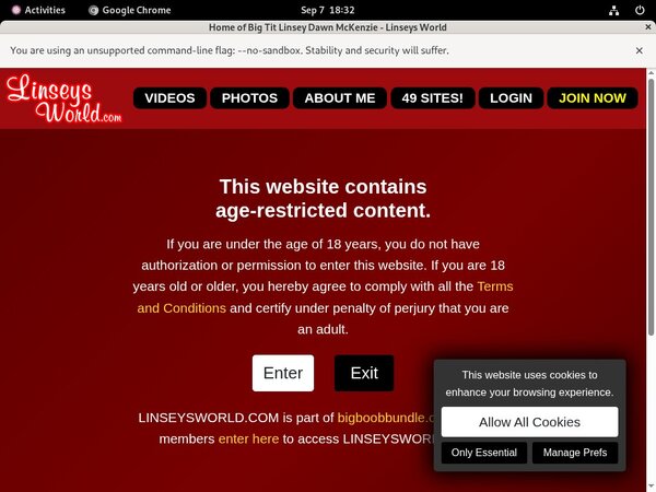 Linseysworld Sex Porn Linseysworld Sex Porn