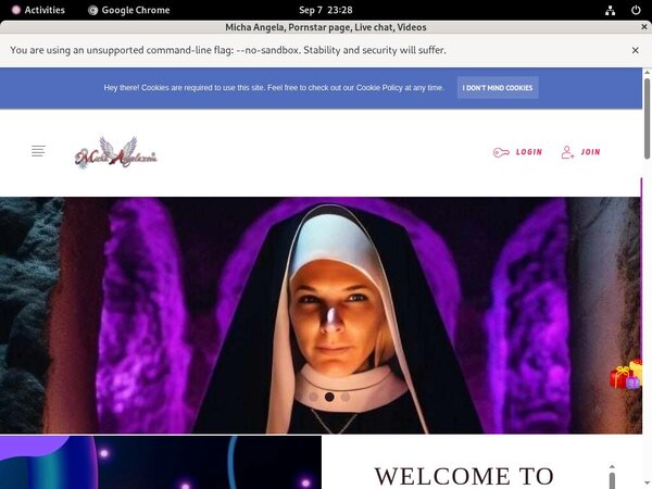 Michaangela.com Login Passwords