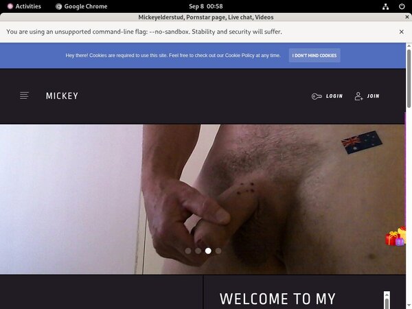 Mickeyelderstud.modelcentro.com Hd Porn