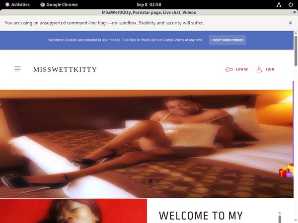 MissWettKitty Updates