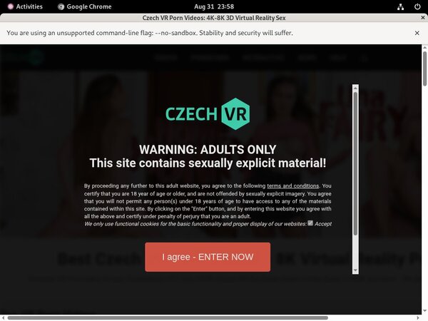 Mobile Czechvr Account