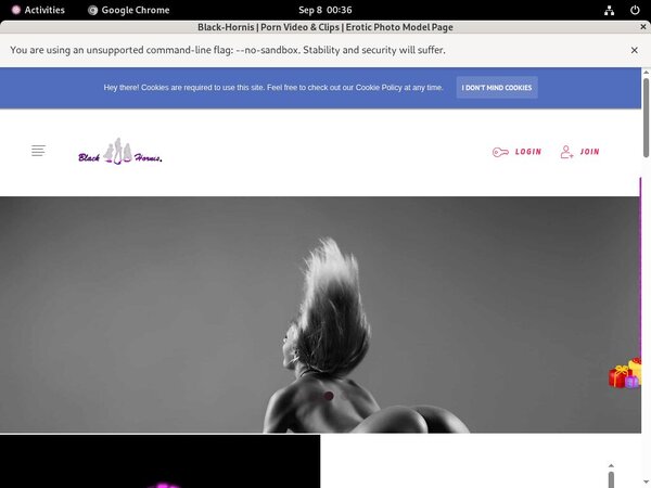 Offer B L A C K - H O R N I S