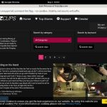 Scat-princess Stockings