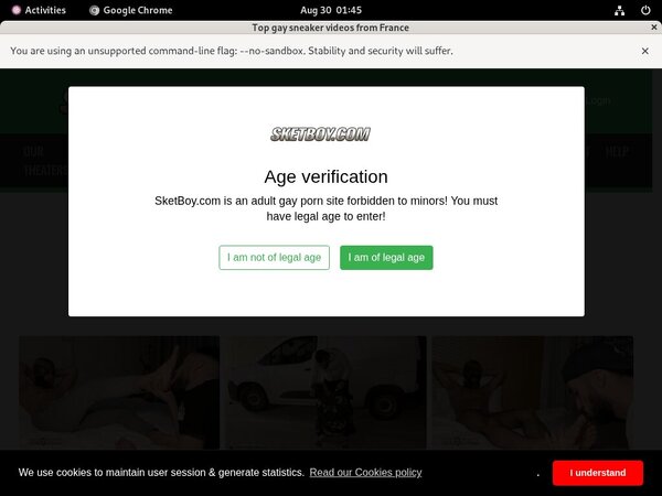 Sket Boy Logins Free