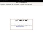 Thesinslife.com Web Site