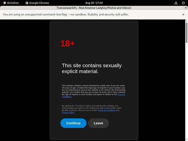 Transsexualgfs Porn Hub