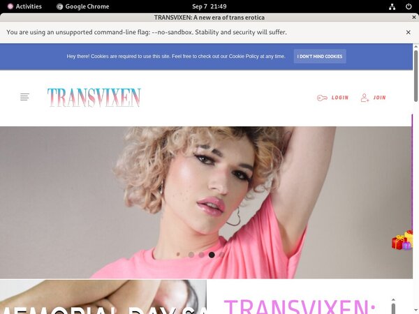 Transvixen ???