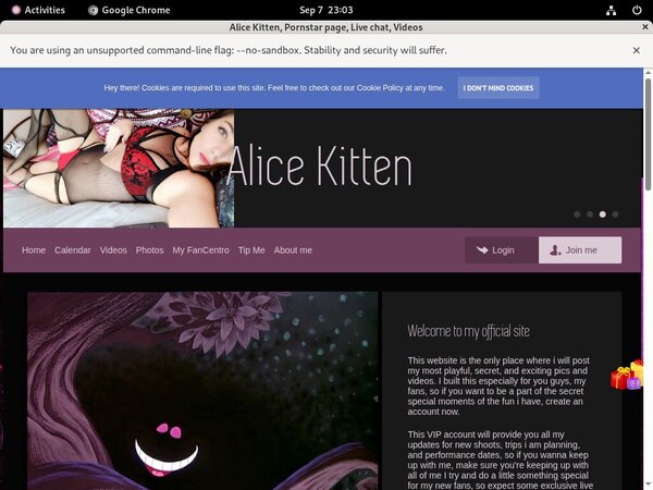 Alice Kitten Free Trial Deal