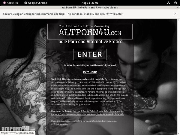 Alt Porn 4 U Limited Promotion