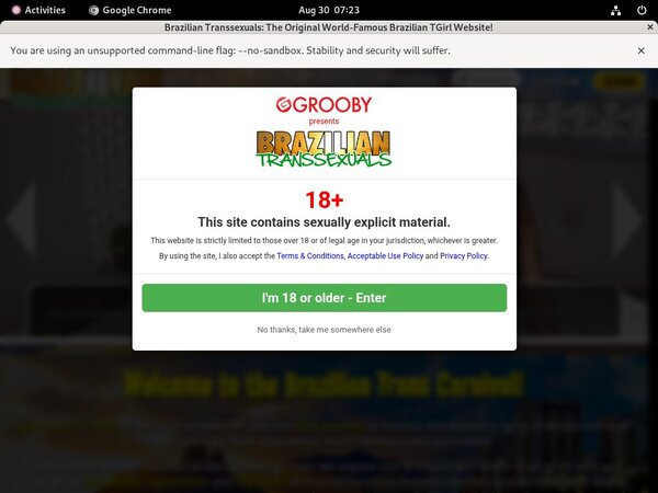 Brazilian Transsexuals Logon