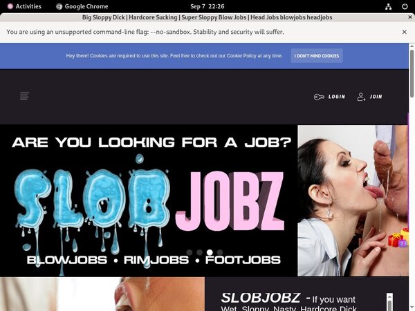 Free Passwords For Slobjobz