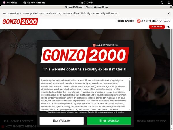 Gonzo 2000 Vids Gonzo 2000 Vids