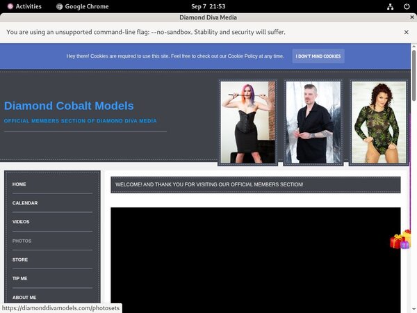 How To Get Diamonddivamodels.com For Free