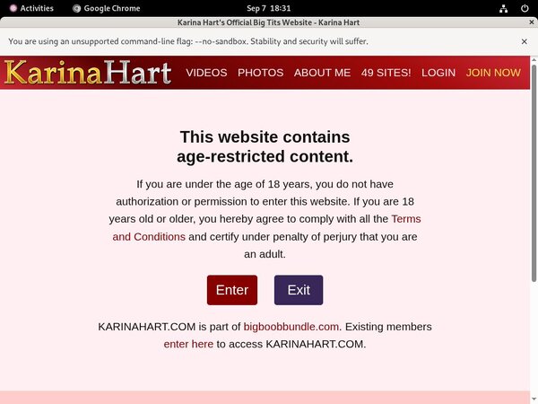 Karinahart Full Access Karinahart Full Access