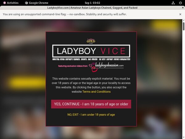 Ladyboy Vice Free Premium Account