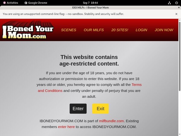 Sexy Ibonedyourmom