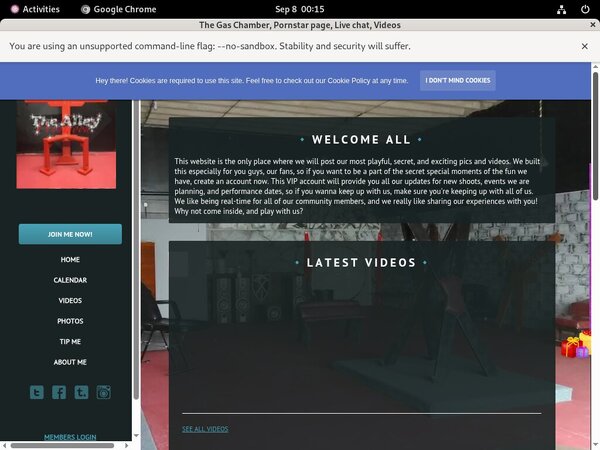 Thealleywynwood.modelcentro.com Credit Card